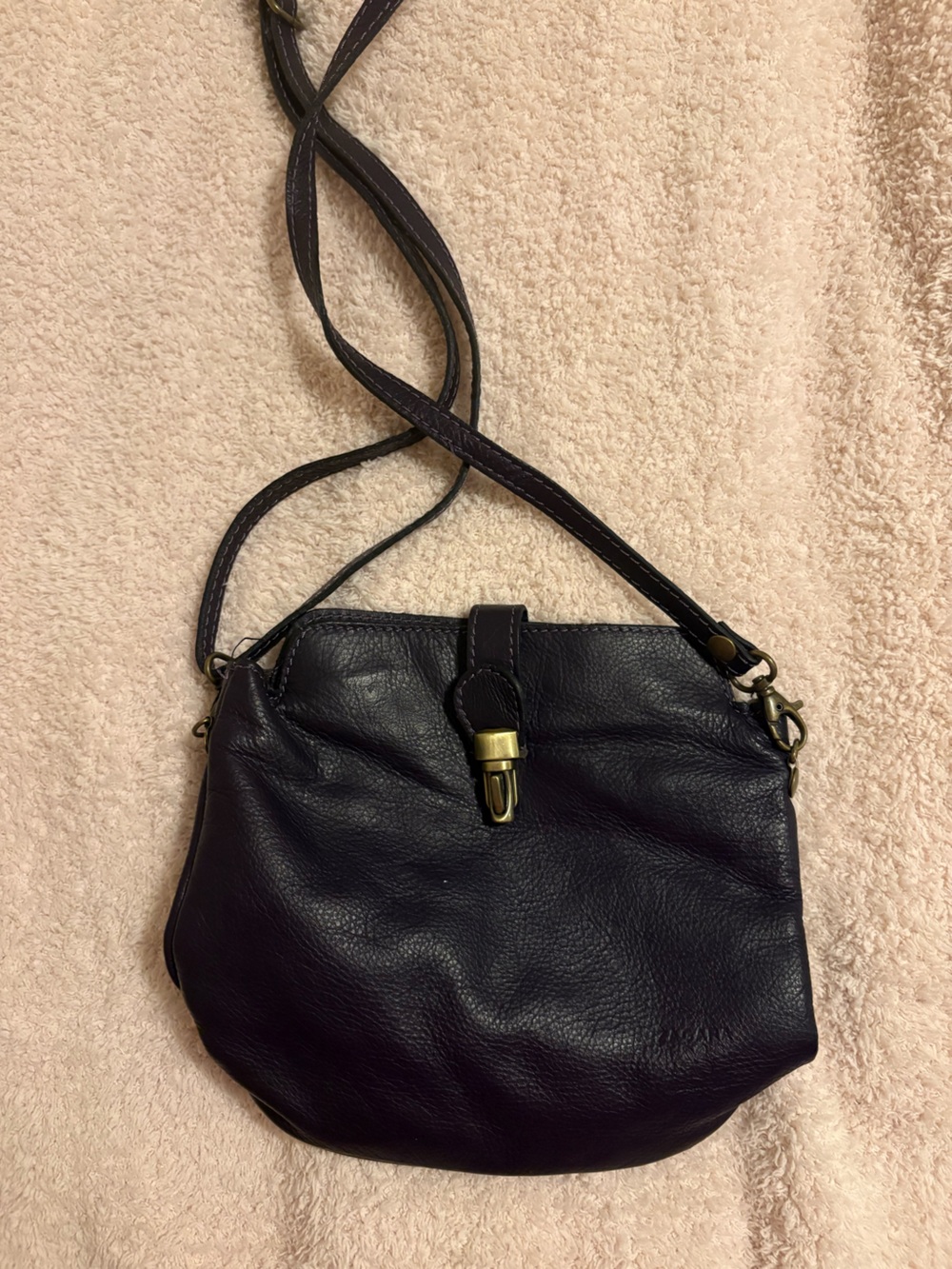 Women's Eggplant Italian Leather Crossbody Bag with Brass Hardware